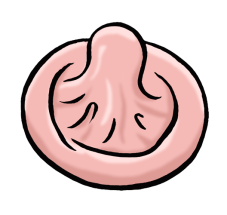 Rosafarbenes Kondom